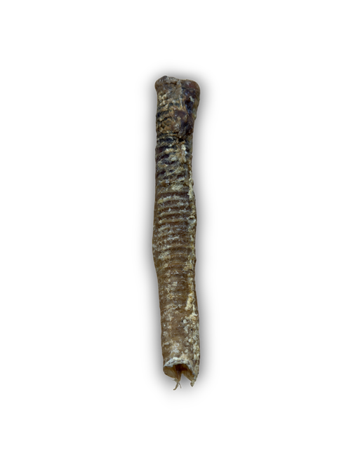 Lamb Tubes Single x1