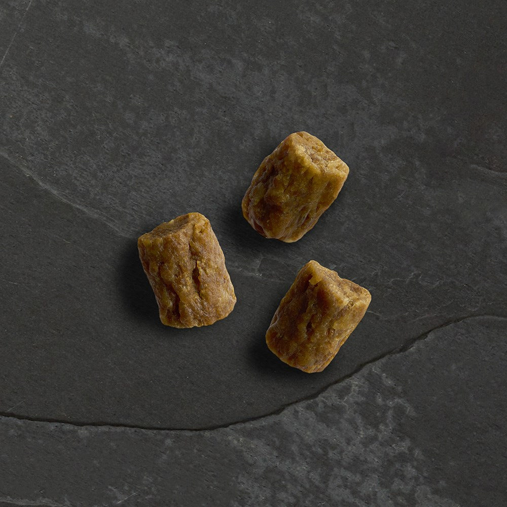 Wild Bites Sausages Canagan Dog Treats 60g