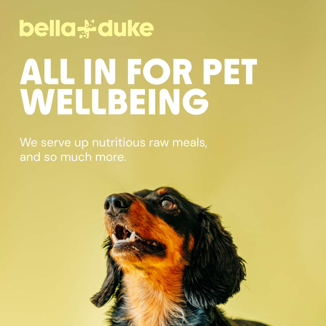 Bella & Duke - Adult Complete - 500g x10