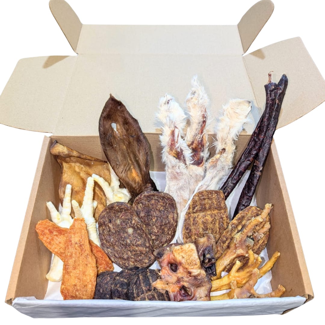 Easy Chew/Puppy Treat Box