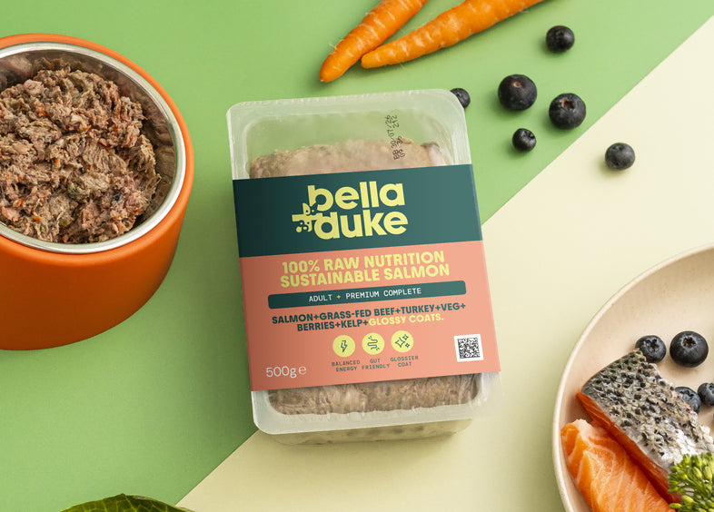 Bella & Duke - Adult Complete - 500g x10