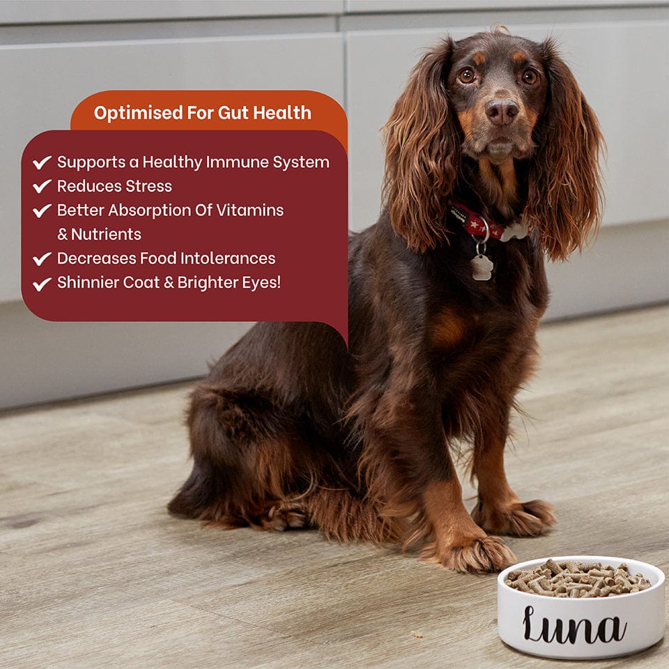 Walker & Drake - 2kg Cold Pressed Dog Food – Chicken