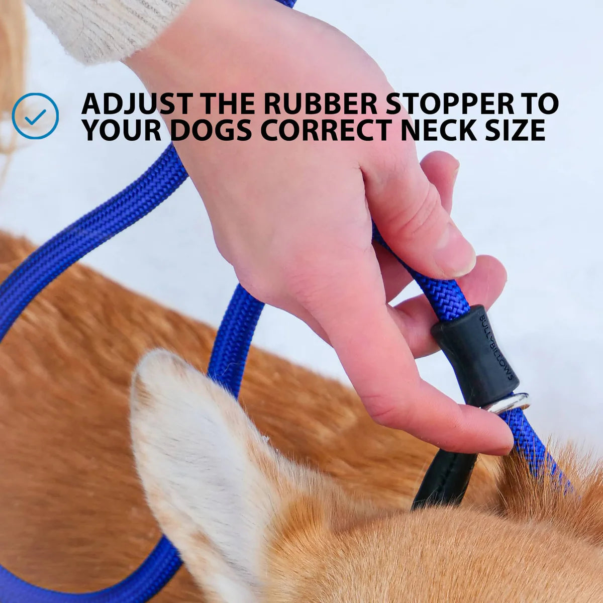 Bully Billows Slip Training Lead | Anti Pull & No Choking - Turquoise