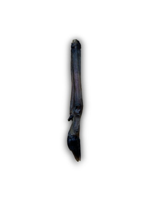 Anco Naturals Roe Deer Leg
