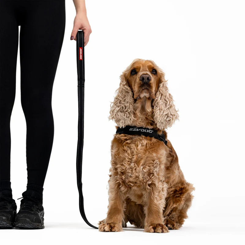 EzyDog - Essential Lead - Black