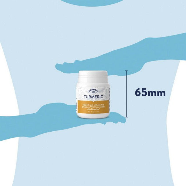 Dorwest Turmeric Tablets 100