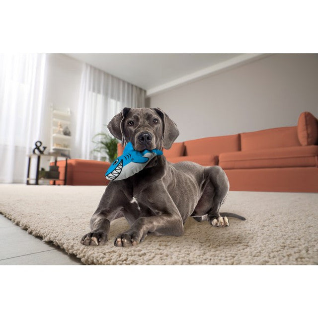 KONG Maxx Shark Medium