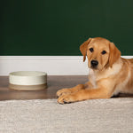 Scruffs Scandi Non Tip Bowl Small 14cm