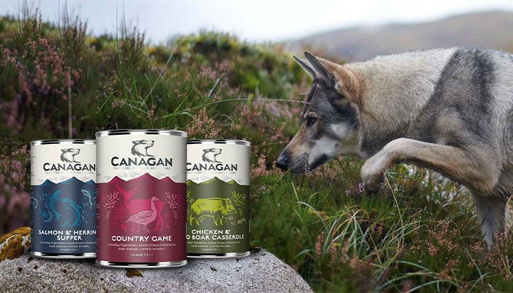Canagan Wet Dog Food x6 Cans 400g
