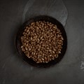 Canagan - Insect Protein For Puppies & Adult 1.5kg & 5kg
