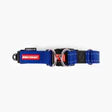 EzyDog - Double Up Collar - Blue