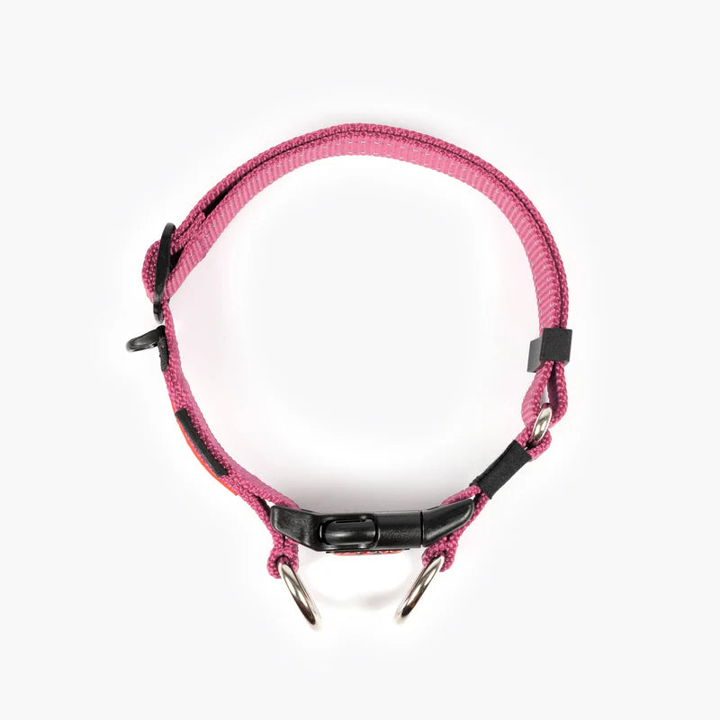 EzyDog - Double Up Collar - Pink