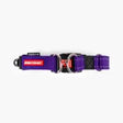 EzyDog - Double Up Collar - Purple