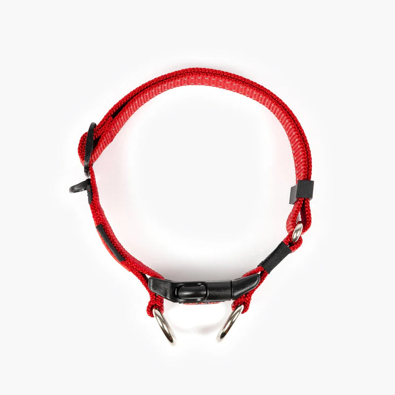 EzyDog - Double Up Collar - Red