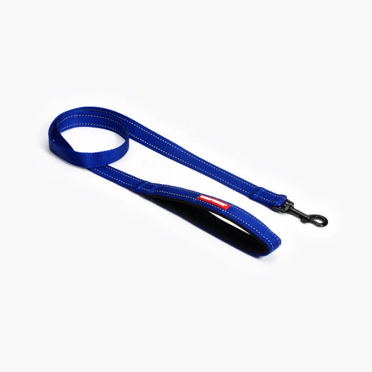 EzyDog - Essential Lead - Blue