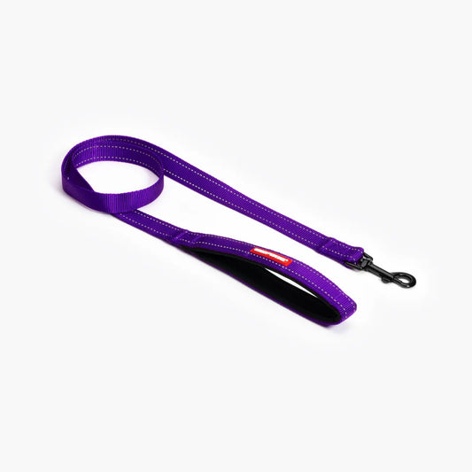 EzyDog - Essential Lead - Purple