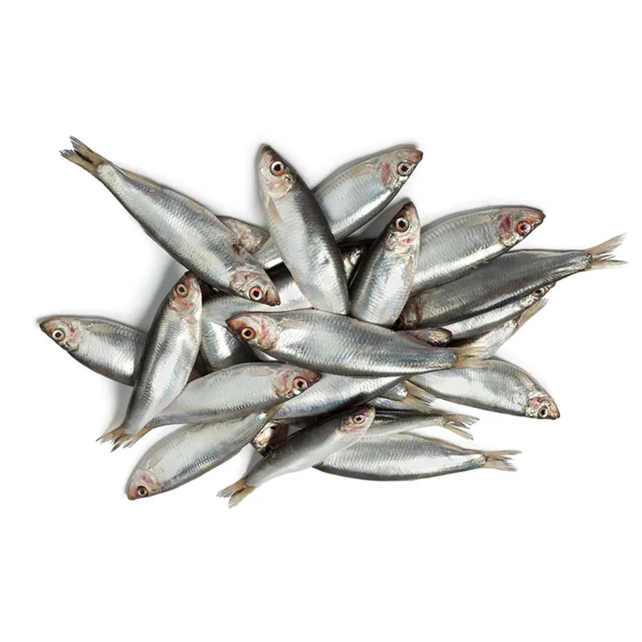 Dougie's Sprats – Raw Frozen – 1kg