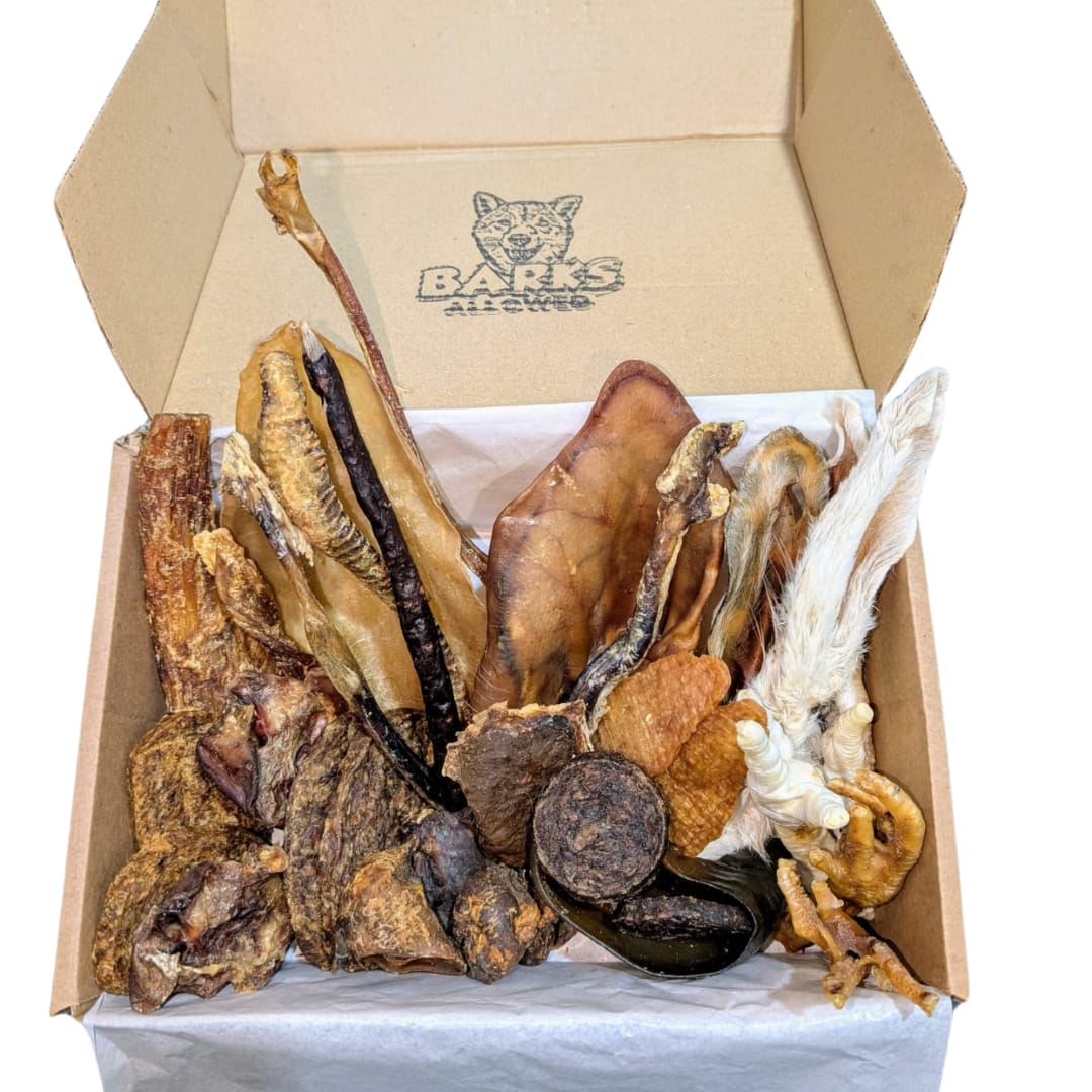 Standard - Treat Box
