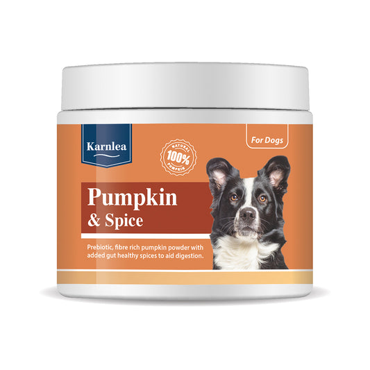 Karnlea - Pumpkin & Spice Powder Topper for Dogs 200g