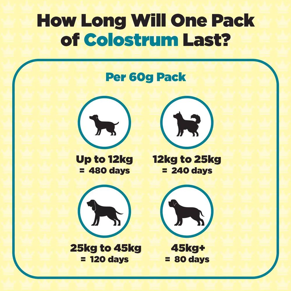 ProDog Colostrum Immune Support Supplement for Dogs 60g