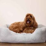 Rosewood 40 Winks Fur Blue Box Bed Medium