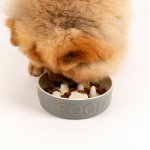 Scruffs Classic Slow Feeder Grey Bowl 16cm