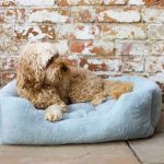 Rosewood 40 Winks Fur Blue Box Bed Large