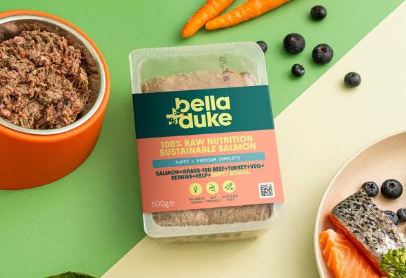 Bella & Duke - Puppy Complete 500g x10