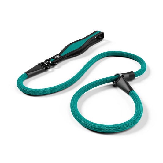 Bully Billows Slip Training Lead | Anti Pull & No Choking - Turquoise