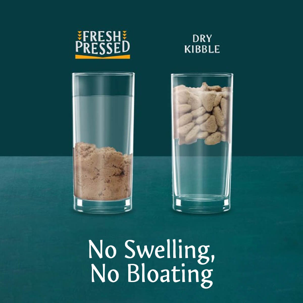 Tribal - Fresh Pressed Adult Turkey 2.5kg/12kg